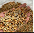 PREMIUM COFFEE (23 ORIGINS)