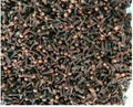HIGH-QUALITY DRIED CLOVES