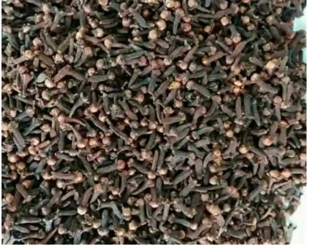 HIGH-QUALITY DRIED CLOVES