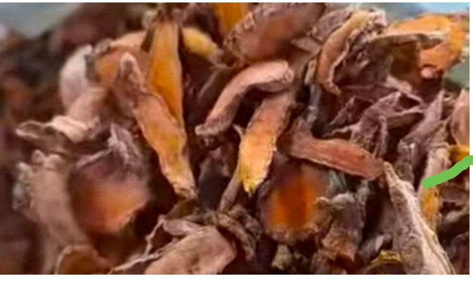 TURMERIC